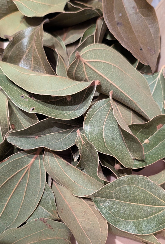 Feuilles de Quinà