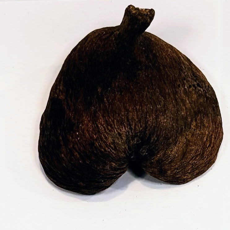Noix de Samrong