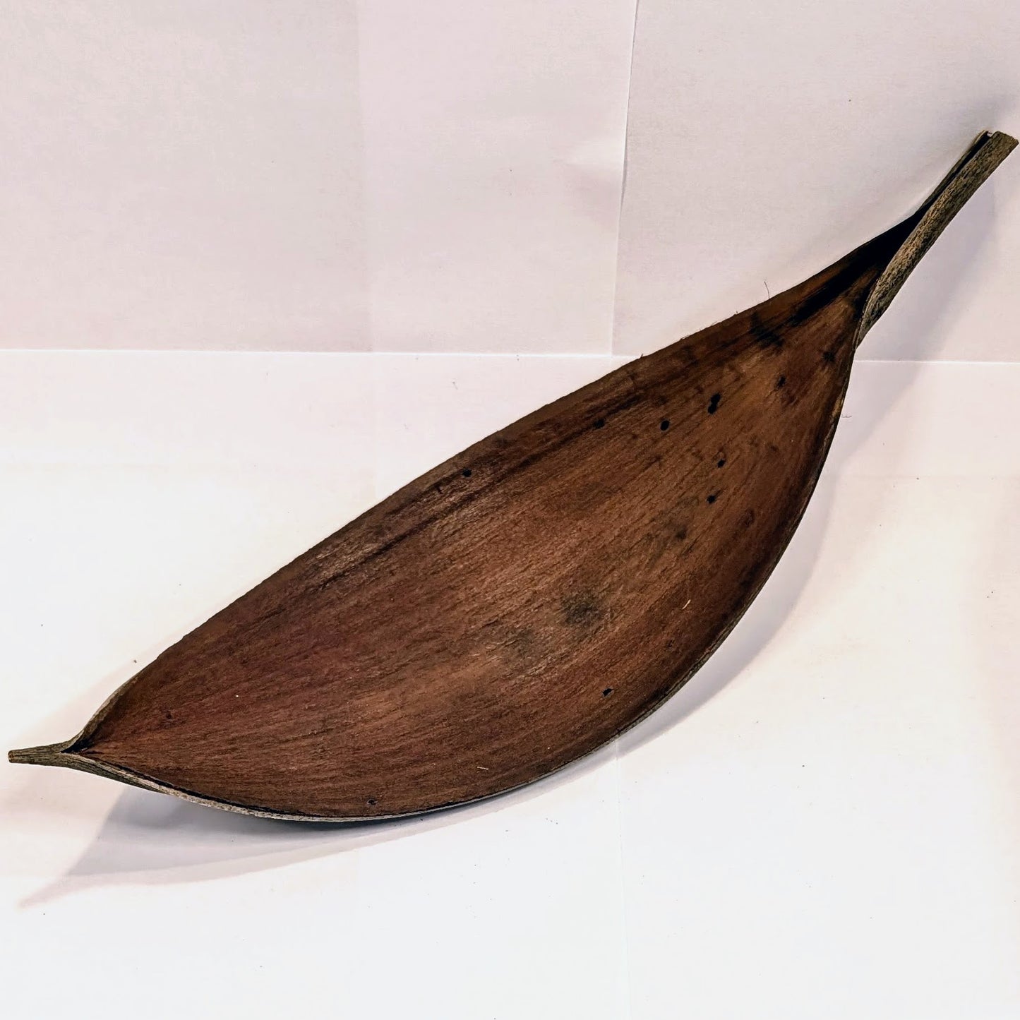 Spade de coco