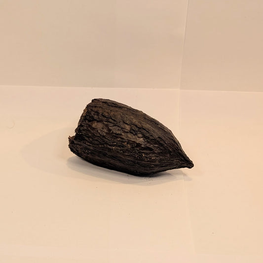Cabosse de cacao