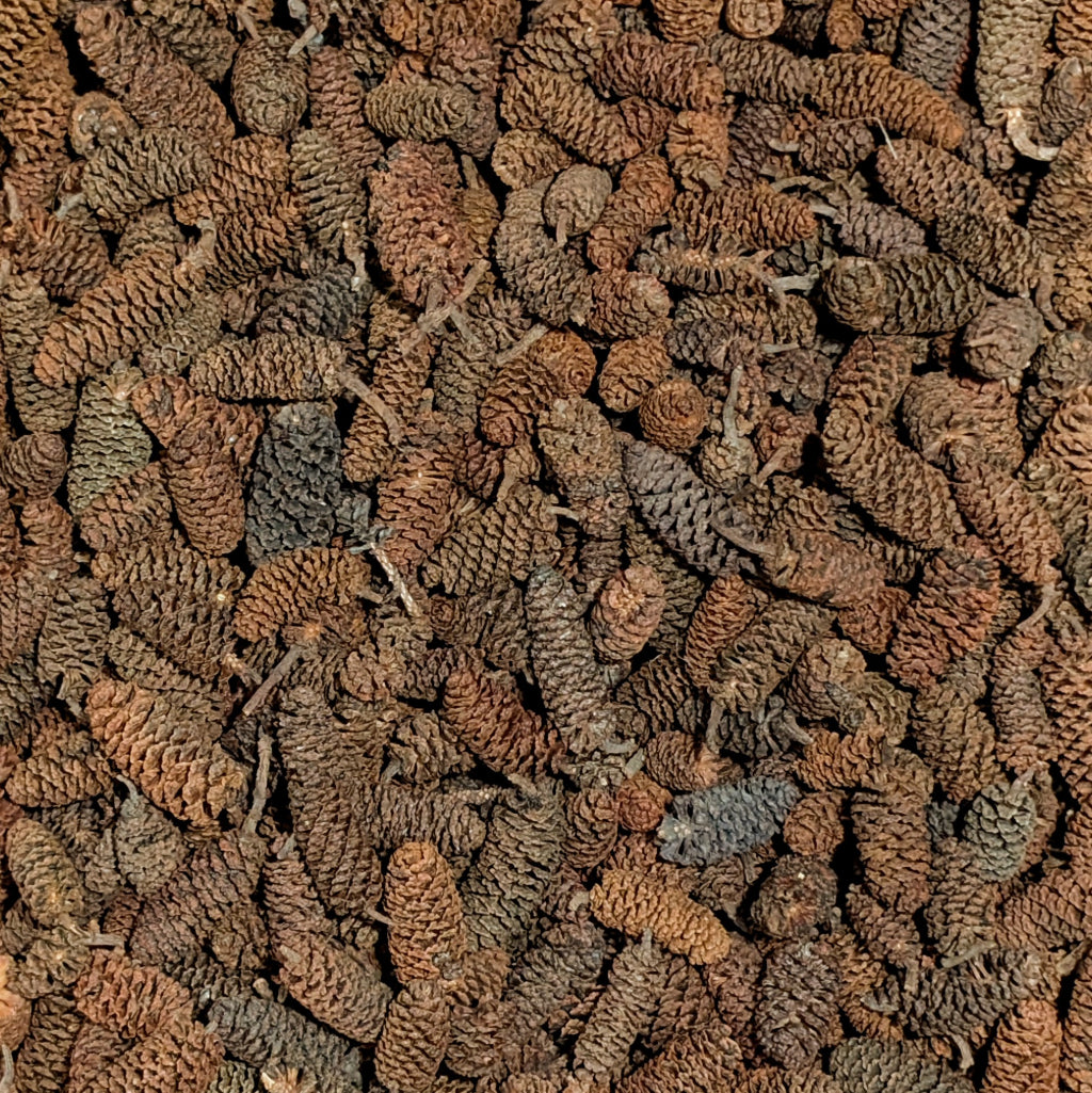 Fruits d'Aulnes 20g