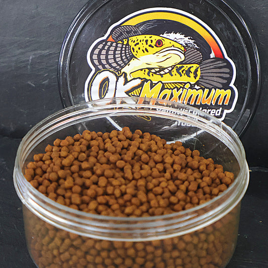 OK Maximum - Yellow snakehead