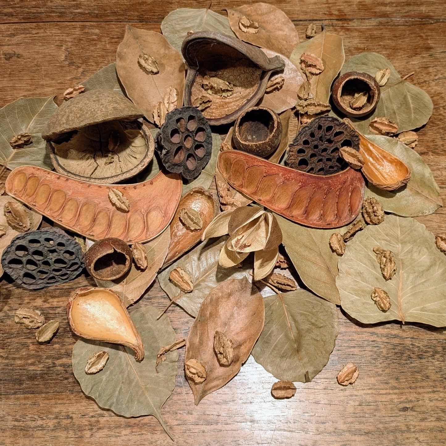 Kit Asiatique