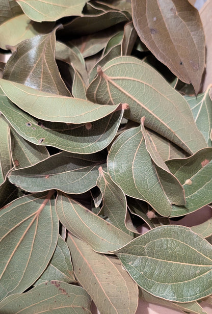 Feuilles de Quinà