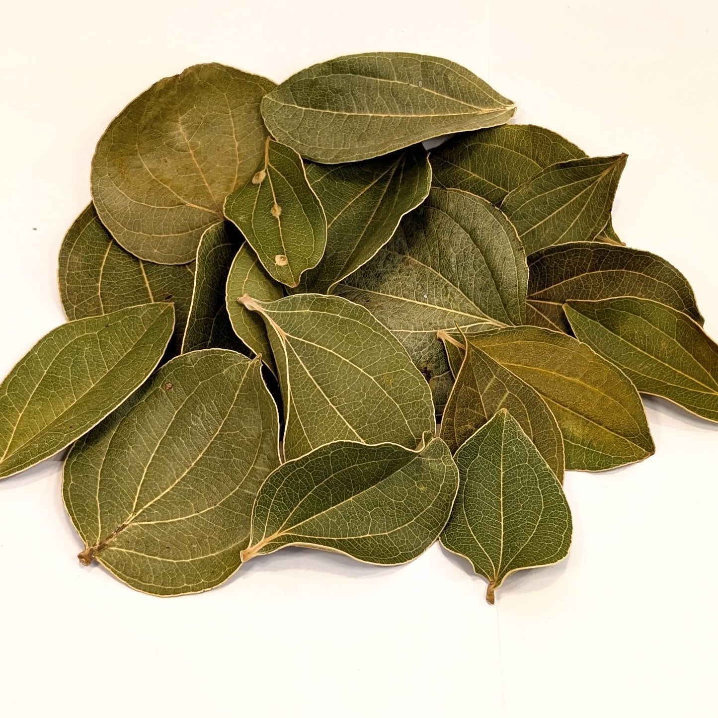 Feuilles de Quinà
