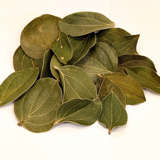 Feuilles de Quinà
