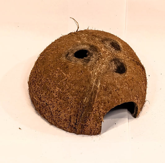Demi noix de coco