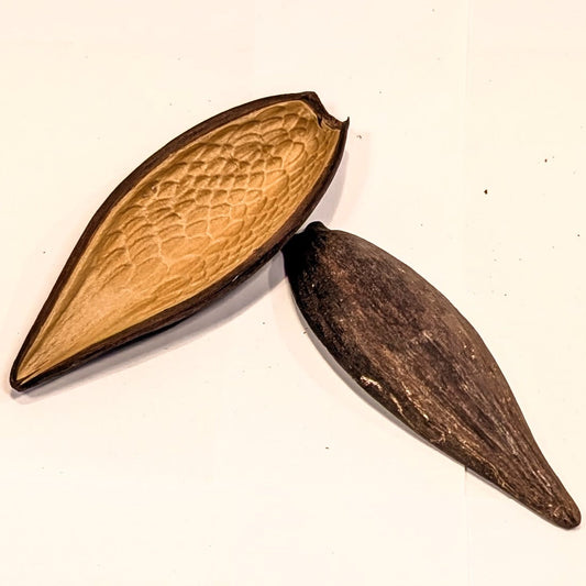 Gousse de canoinhas