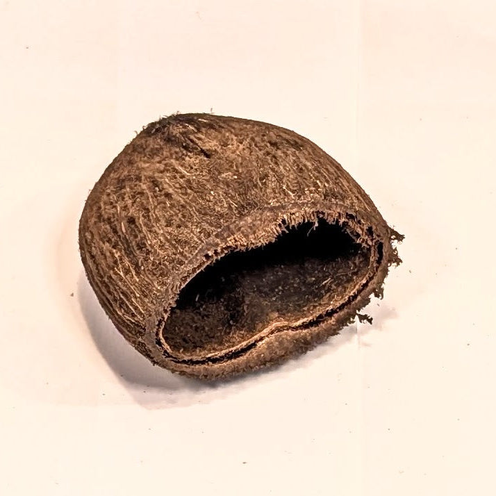 Cosse de palmier