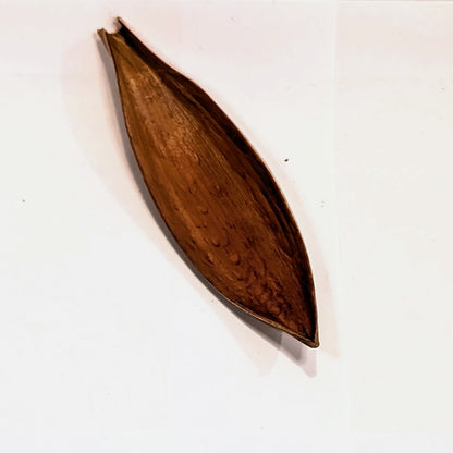 Spade de coco