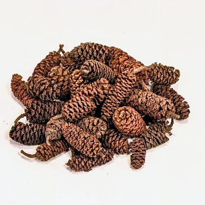 Fruits d'Aulnes 20g