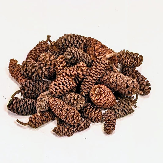Fruits d'Aulnes 20g