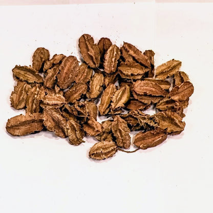 Gousse d'Arjun 10g