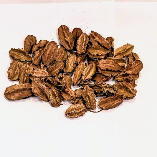 Gousse d'Arjun 10g