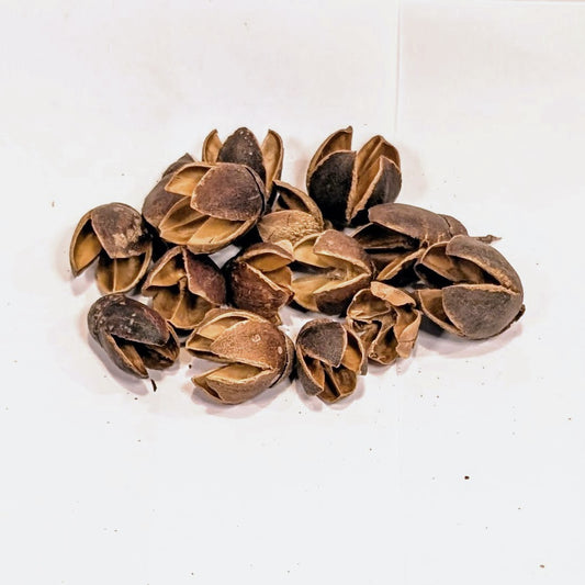Gousse de Bakuli 30g