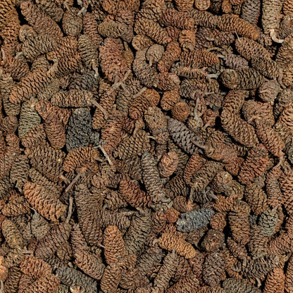 Fruits d'Aulnes 20g